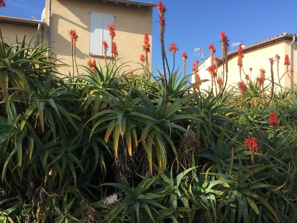 Le Melody Daire Antibes Dış mekan fotoğraf